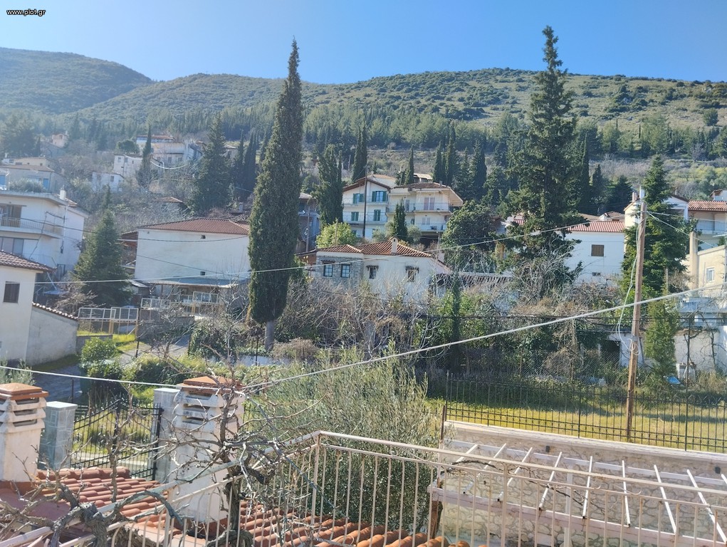 Μονοκατοικία 160 τ.μ. πρός πώληση, Φθιώτιδας, Αμφίκλεια