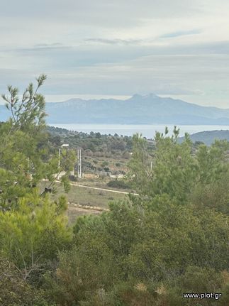 Οικόπεδο 5.500 τ.μ. για πώληση, Αθήνα - Ανατολικά Προάστια, Παλλήνη