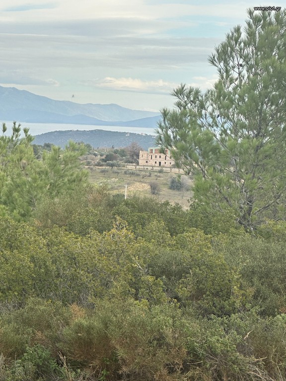 Οικόπεδο 5.500 τ.μ. πρός πώληση, Αθήνα - Ανατολικά Προάστια, Παλλήνη