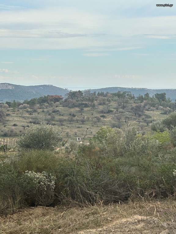 Οικόπεδο 5.500 τ.μ. πρός πώληση, Αθήνα - Ανατολικά Προάστια, Παλλήνη