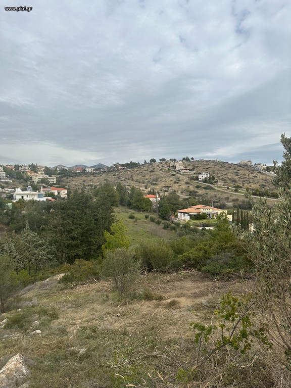 Οικόπεδο 5.500 τ.μ. πρός πώληση, Αθήνα - Ανατολικά Προάστια, Παλλήνη