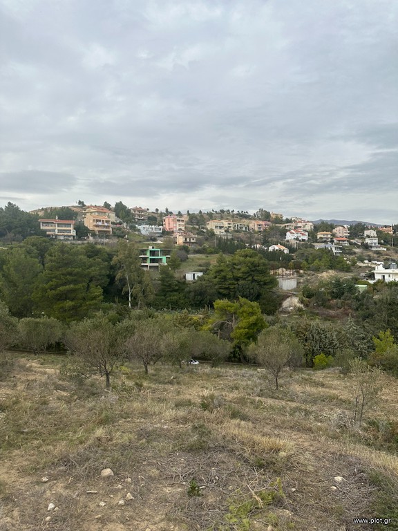Οικόπεδο 5.500 τ.μ. πρός πώληση, Αθήνα - Ανατολικά Προάστια, Παλλήνη