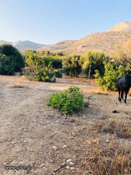 Αγροτεμάχια 690τ.μ. για πώληση-Κάλυμνος » Βαθύς