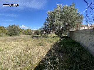 Οικόπεδο 805 τ.μ. για πώληση, Αργολίδα, Κρανίδι-thumb-22