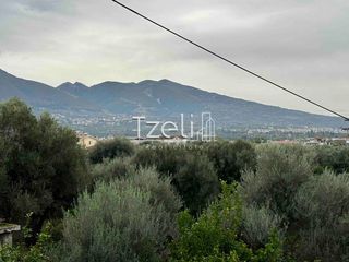 Διαμέρισμα 90 τ.μ. για πώληση, Αχαΐα, Μεσσατίδα-thumb-4