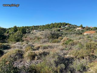 Οικόπεδο 939 τ.μ. για πώληση, Αργολίδα, Ερμιόνη-thumb-20