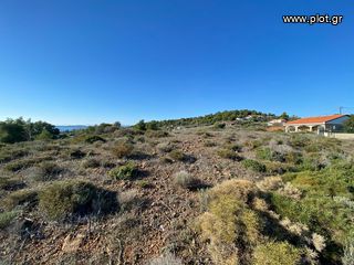 Οικόπεδο 313 τ.μ. για πώληση, Αργολίδα, Ερμιόνη-thumb-22