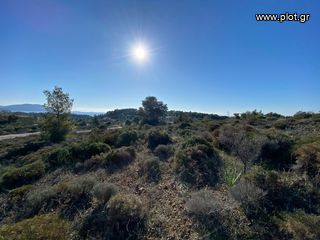 Οικόπεδο 313 τ.μ. για πώληση, Αργολίδα, Ερμιόνη-thumb-23