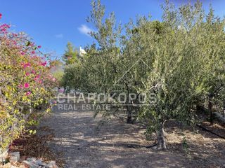Μονοκατοικία 280 τ.μ. για πώληση, Αργολίδα, Ερμιόνη-thumb-13