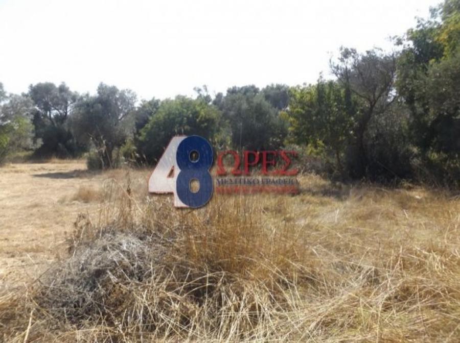 Αγροτεμάχια 1.370 τ.μ. προς πώληση, Άγιος Μηνάς Χίου