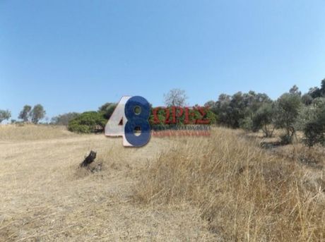 Αγροτεμάχια 1.370τ.μ. για πώληση-Χίος » Άγιος μηνάς