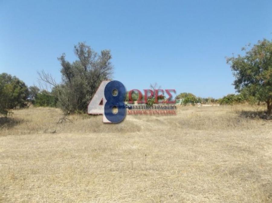 Αγροτεμάχια 1.370 τ.μ. προς πώληση, Άγιος Μηνάς Χίου