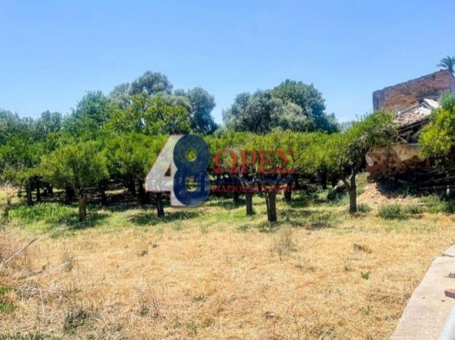 Οικόπεδο 4.267 τ.μ. προς πώληση, Καμποχώρια