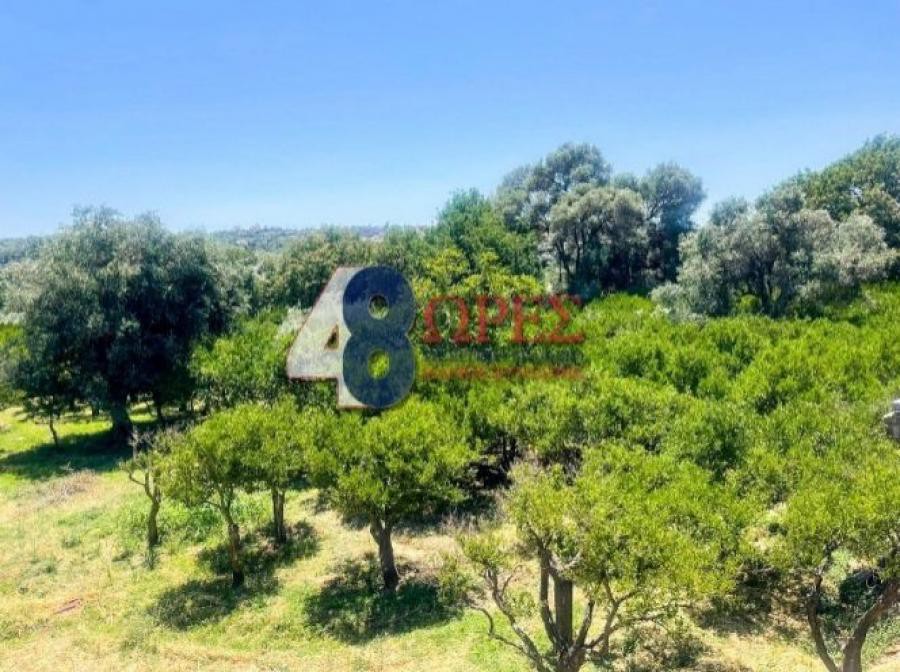 Οικόπεδο 4.267 τ.μ. προς πώληση, Καμποχώρια