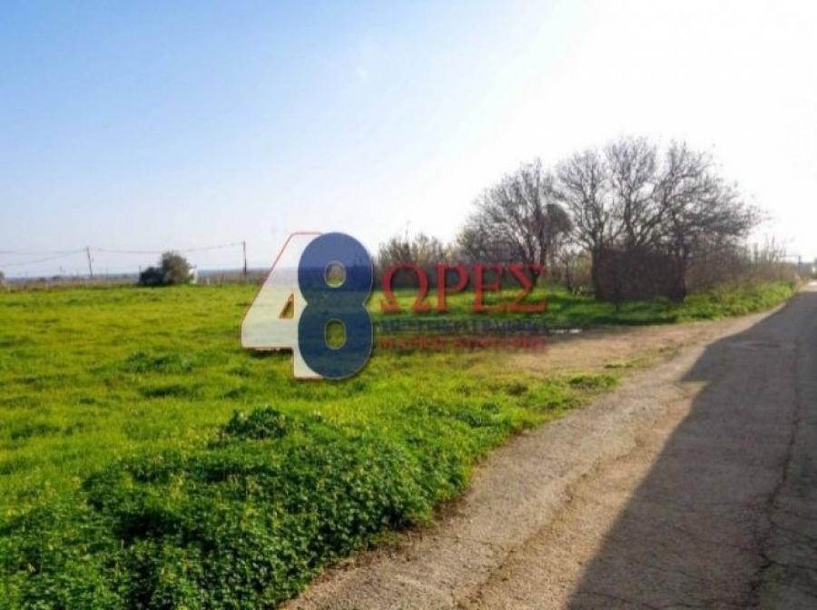 Οικόπεδο 3.270 τ.μ. προς πώληση, Πόλη Χίου
