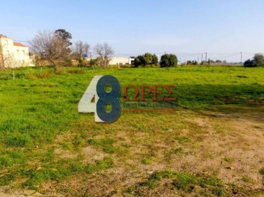 Οικόπεδο 3.270 τ.μ. προς πώληση, Πόλη Χίου