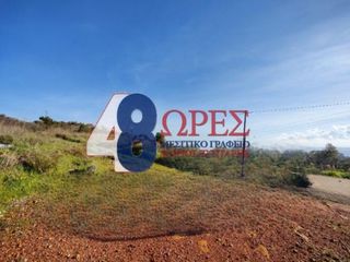 Οικόπεδο 2.011 τ.μ. για πώληση, Ν. Χίου, Χίος-thumb-3