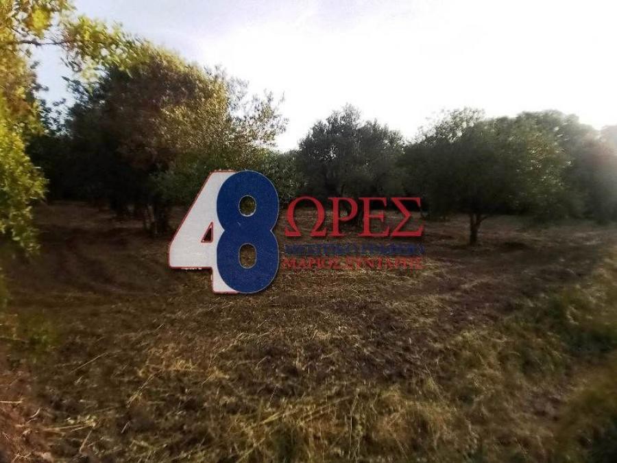 Οικόπεδο 1.570 τ.μ. προς πώληση, Πόλη Χίου