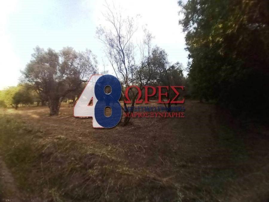 Οικόπεδο 1.570 τ.μ. προς πώληση, Πόλη Χίου