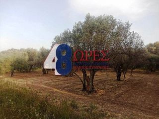Οικόπεδο 1.570 τ.μ. για πώληση