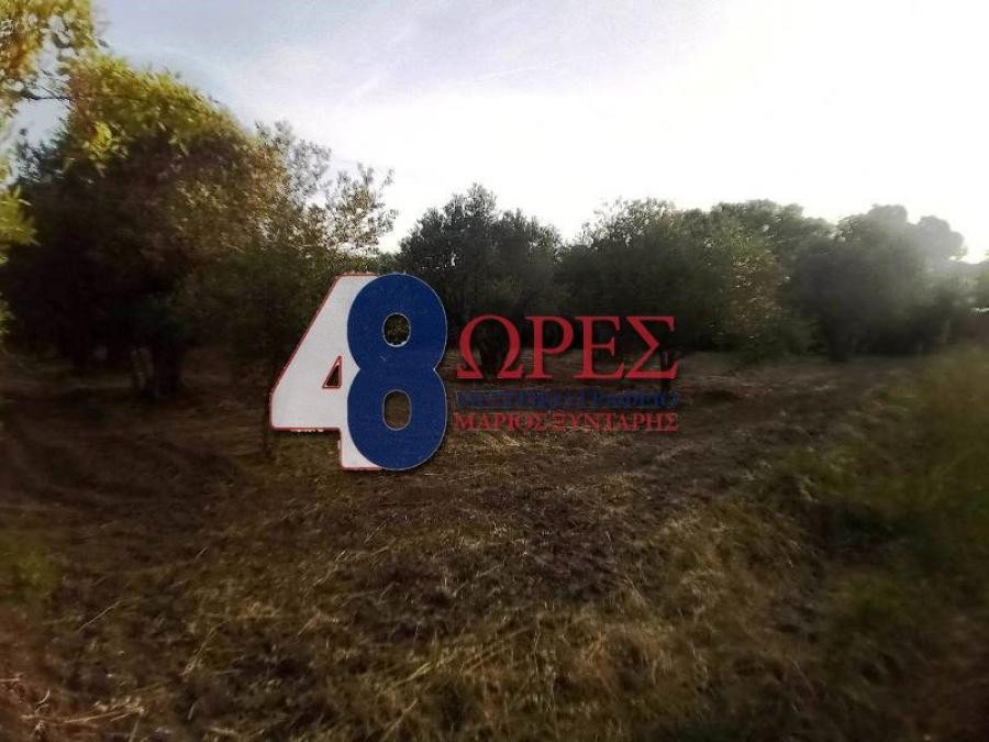 Οικόπεδο 1.570 τ.μ. προς πώληση, Πόλη Χίου