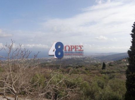 Διαμέρισμα 55 τ.μ. για ενοικίαση