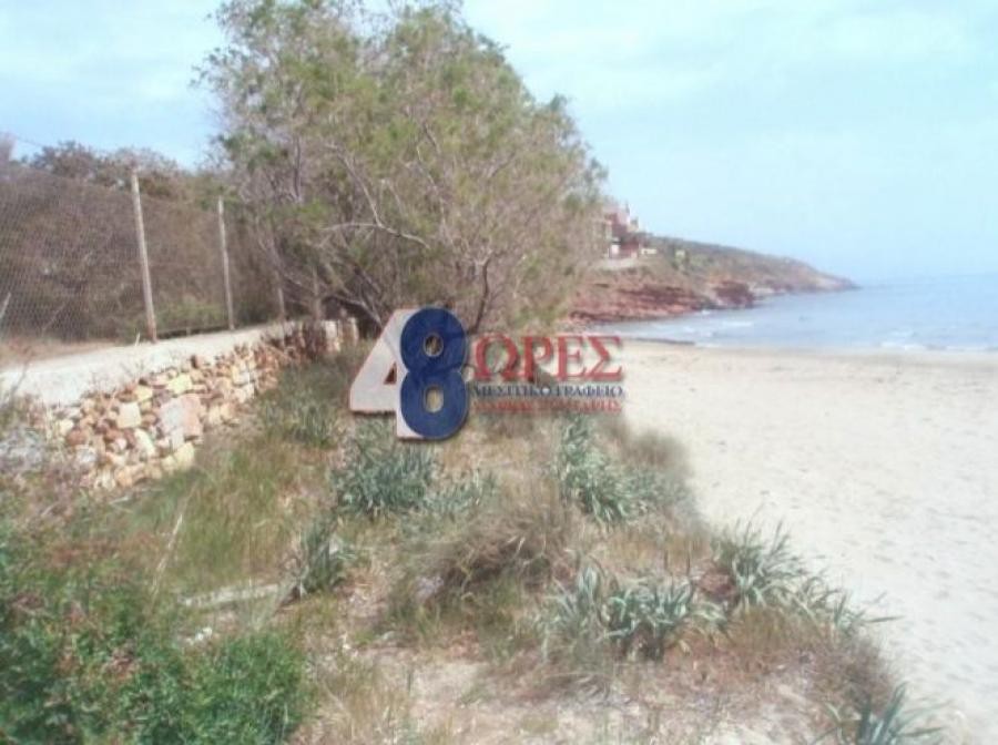 Οικόπεδο 2.300 τ.μ. προς πώληση, Πόλη Χίου