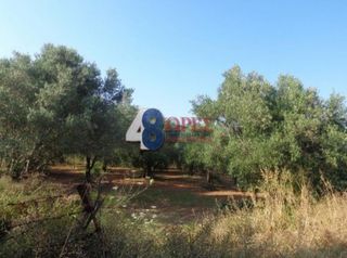 Οικόπεδο 4.417 τ.μ. για πώληση