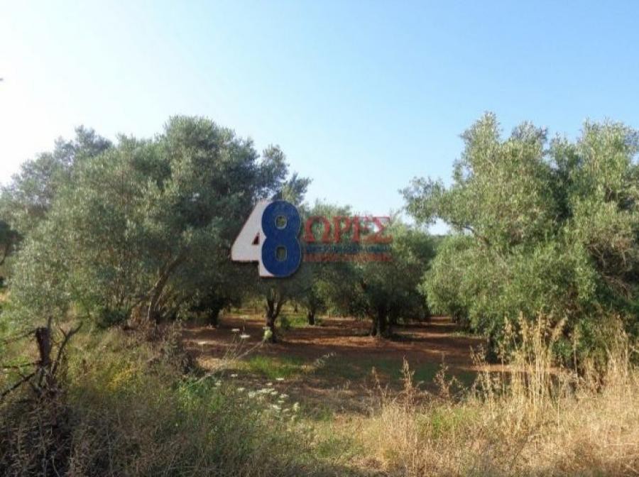 Οικόπεδο 4.417 τ.μ. προς πώληση, Πόλη Χίου