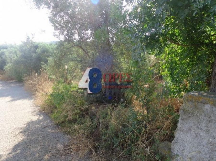 Οικόπεδο 4.417 τ.μ. προς πώληση, Πόλη Χίου