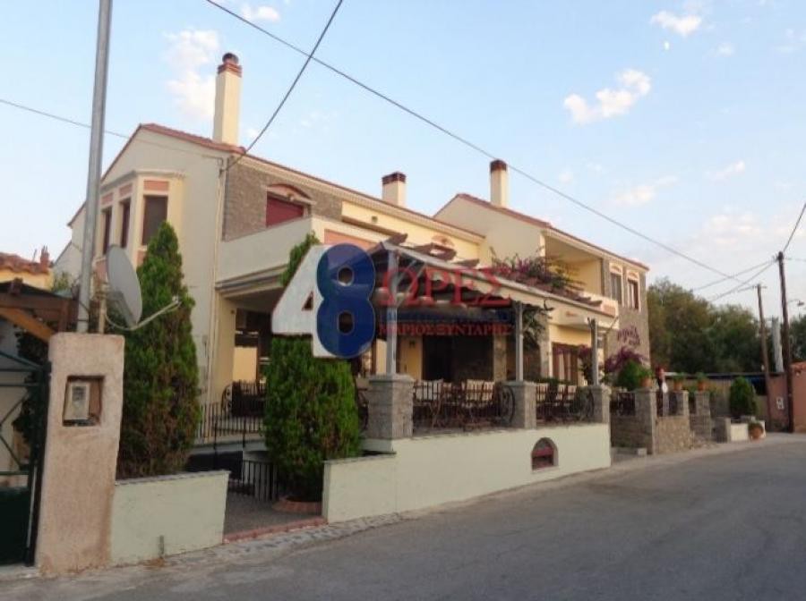 Ξενοδοχείο 1.043 τ.μ. προς πώληση, Αμάνη