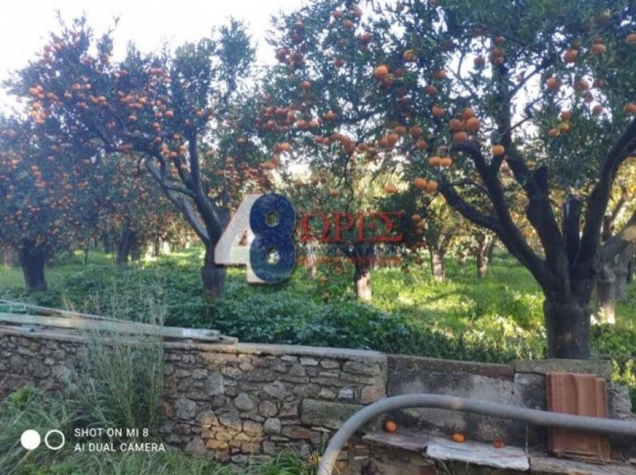 Κτίριο 265 τ.μ. πρός πώληση, Ν. Χίου, Χίος