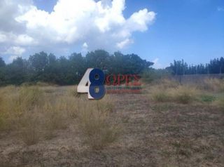Οικόπεδο 2.000 τ.μ. για πώληση, Ν. Χίου, Χίος-thumb-8