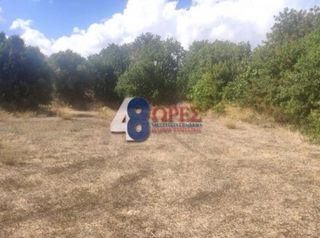 Οικόπεδο 2.000 τ.μ. για πώληση, Ν. Χίου, Χίος-thumb-11