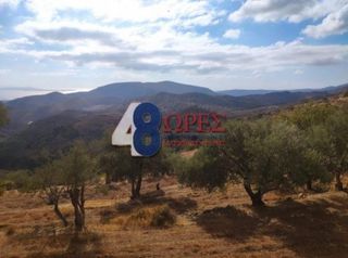 Οικόπεδο 21.025 τ.μ. για πώληση, Ν. Χίου, Χίος-thumb-7