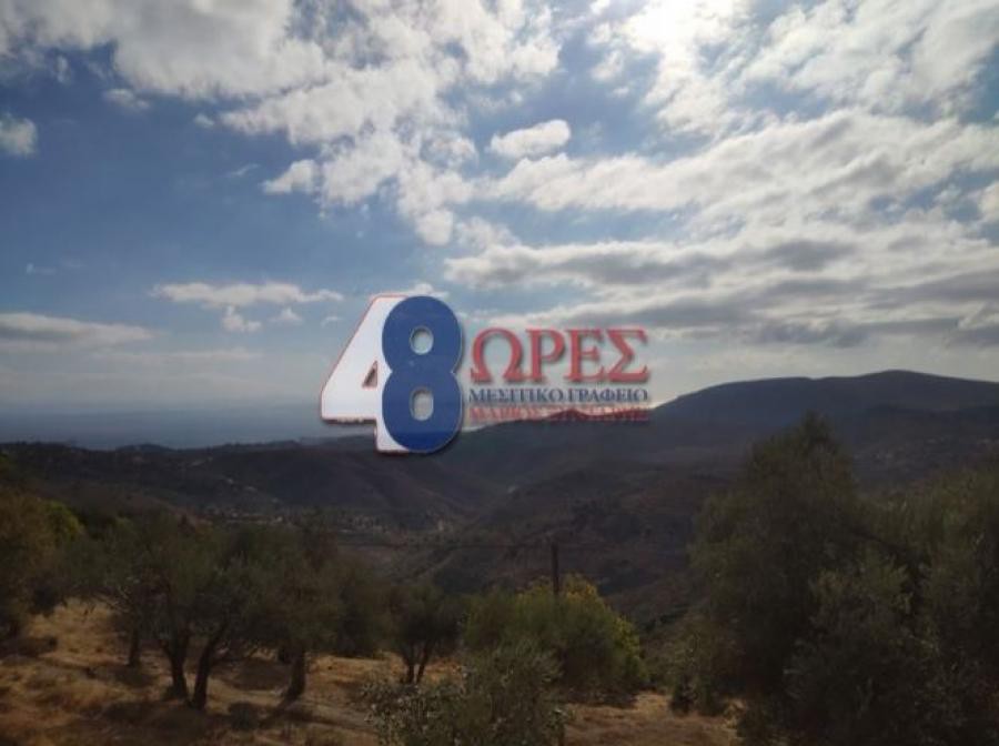 Οικόπεδο 21.025 τ.μ. προς πώληση, Ν. Χίου, Χίος