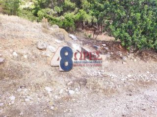 Οικόπεδο 21.025 τ.μ. για πώληση, Ν. Χίου, Χίος-thumb-10