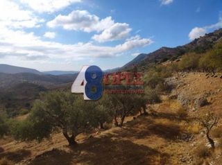 Οικόπεδο 21.025 τ.μ. για πώληση, Ν. Χίου, Χίος-thumb-6