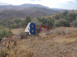 Οικόπεδο 21.025 τ.μ. για πώληση, Ν. Χίου, Χίος-thumb-15
