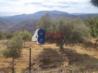 Οικόπεδο 21.025 τ.μ. για πώληση, Ν. Χίου, Χίος-thumb-1