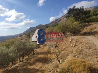 Οικόπεδο 21.025 τ.μ. για πώληση, Ν. Χίου, Χίος-thumb-5
