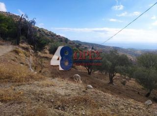 Οικόπεδο 21.025 τ.μ. για πώληση, Ν. Χίου, Χίος-thumb-9