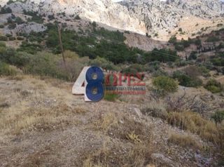 Οικόπεδο 21.025 τ.μ. για πώληση, Ν. Χίου, Χίος-thumb-18