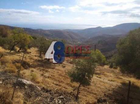 Land plot 21.025sqm for sale-Chios » Omiroupoli
