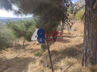 Οικόπεδο 21.025 τ.μ. για πώληση, Ν. Χίου, Χίος-thumb-2
