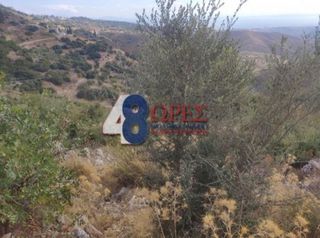 Οικόπεδο 21.025 τ.μ. για πώληση, Ν. Χίου, Χίος-thumb-16