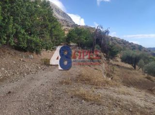 Οικόπεδο 21.025 τ.μ. για πώληση, Ν. Χίου, Χίος-thumb-8
