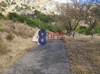Οικόπεδο 21.025 τ.μ. για πώληση, Ν. Χίου, Χίος-thumb-13