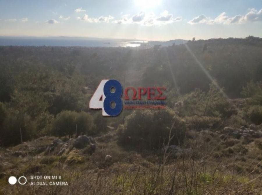 Οικόπεδο 4.419 τ.μ. προς πώληση, Πόλη Χίου