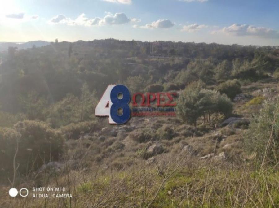 Οικόπεδο 4.419 τ.μ. προς πώληση, Πόλη Χίου
